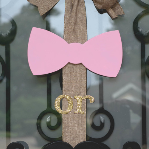 Gender Reveal-Photography-Cumming, GA