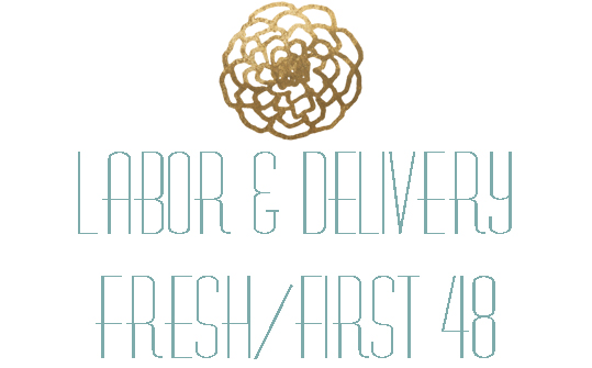 Labor and Delivery Fresh 48 Photos Atlanta