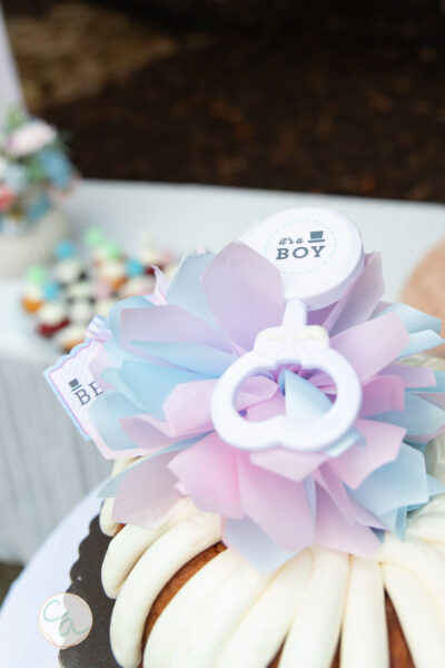 GenderReveal photographer Alpharetta
